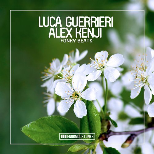 Alex Kenji, Luca Guerrieri - Fonky Beats (Original Club Mix)