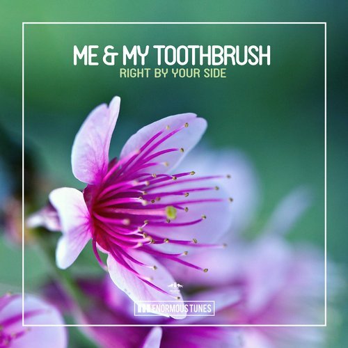 Me & My Toothbrush - Right by Your Side (Original Club Mix)