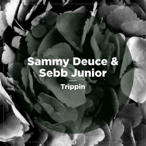 Sammy Deuce & Sebb Junior – Trippin (Original Mix)