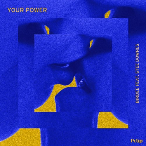 Birdee, Stee Downes - Your Power (Extended Mix)