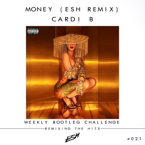 Cardi B - Money (ESH Remix)
