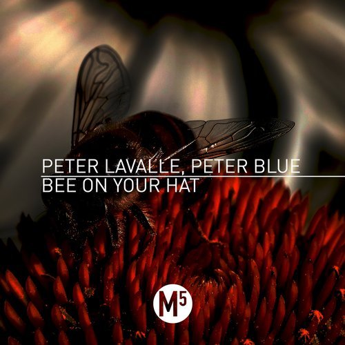 Peter Lavalle, Peter Blue - Bee On Your Hat (Original Mix)