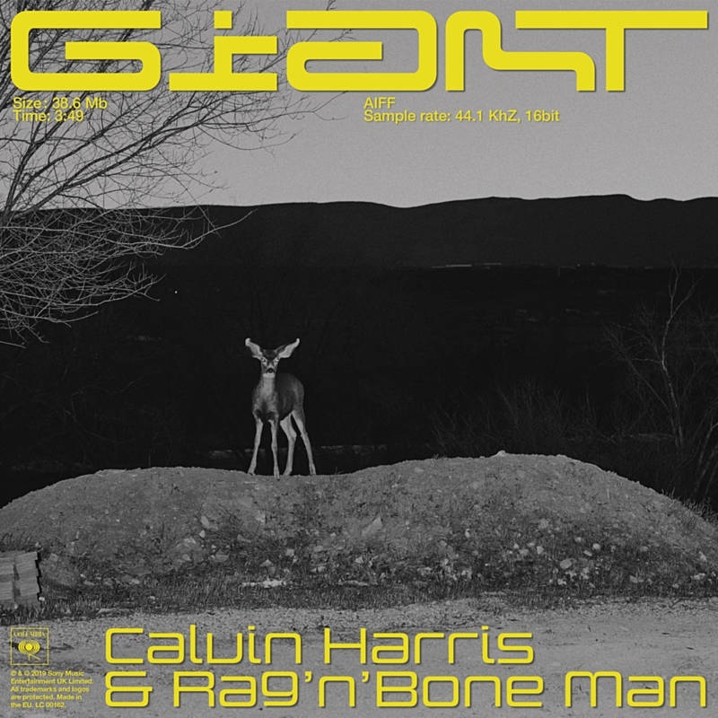 Calvin Harris & Rag'n'Bone Man - Giant (Original Mix)