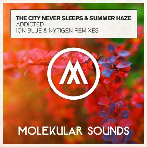 The City Never Sleeps & Summer Haze - Addicted (NyTiGen Extended Mix)