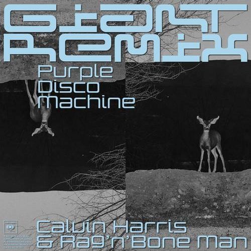 Calvin Harris, Rag'n'Bone Man - Giant (Purple Disco Machine Extended Remix)