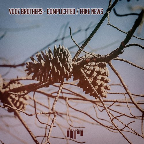 Vooz Brothers - Fake News (Original Mix)