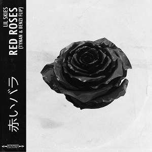 Lil Skies – Red Roses (TYNAN & BENZI Remix)