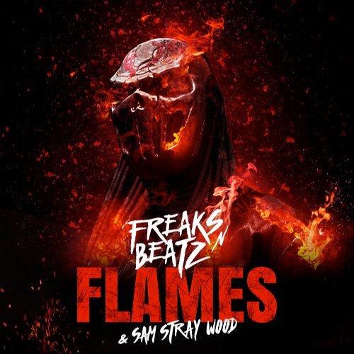 Freaks'n'Beatz, Sam Stray Wood - Flames (V.I.P. Remix)