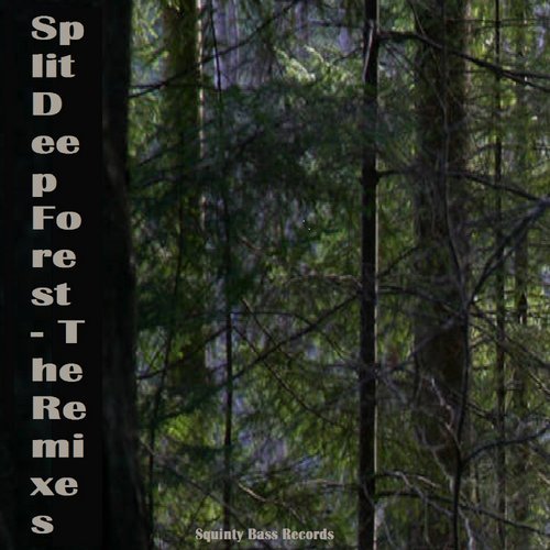 Split - Deep Forest (VIP Remix)