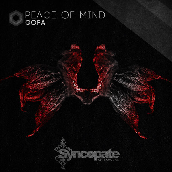 Gofa - Peace of Mind (Original Mix)