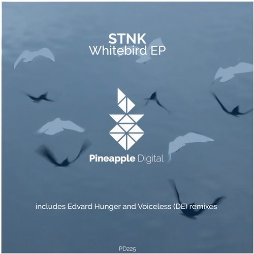 STNK - Whitebird (Edvard Hunger Remix)