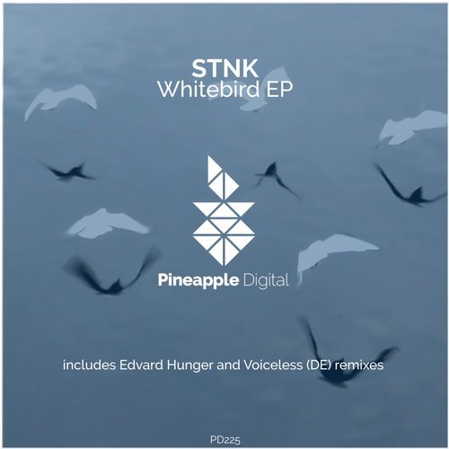 STNK - Whitebird (Original Mix)