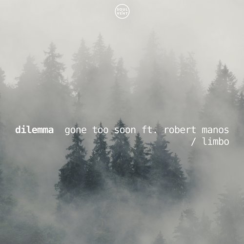 Dilemma – Limbo(Original Mix)