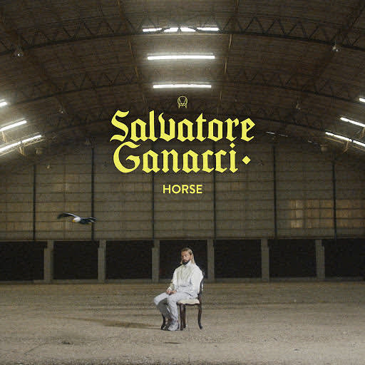 Salvatore Ganacci - Horse (Original Mix)