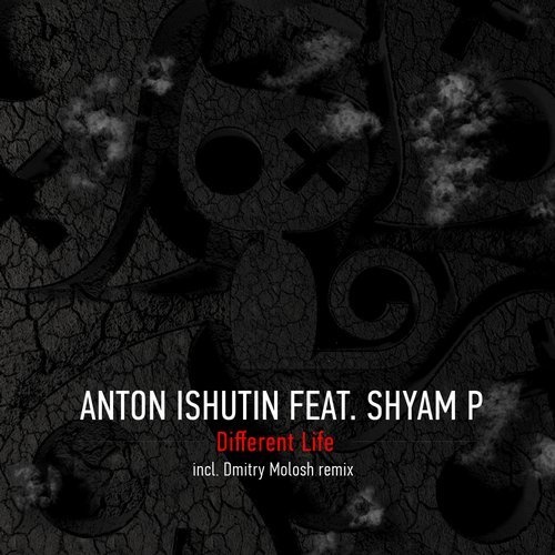 Anton Ishutin, Shyam P - Different Life (Dmitry Molosh Remix)