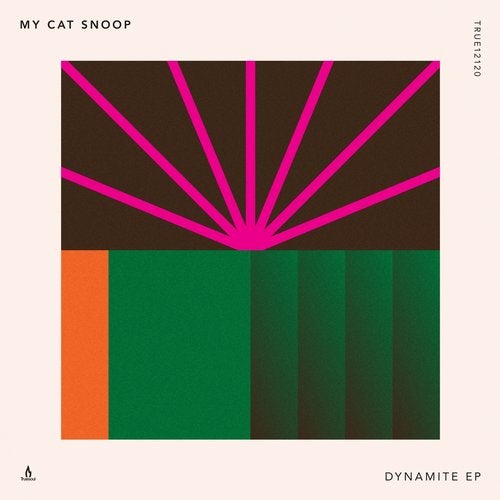 My Cat Snoop - Can You Feel It (Original Mix)