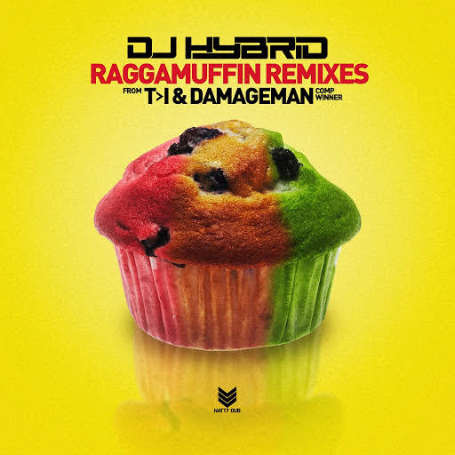 DJ Hybrid - Raggamuffin (Damageman Remix)