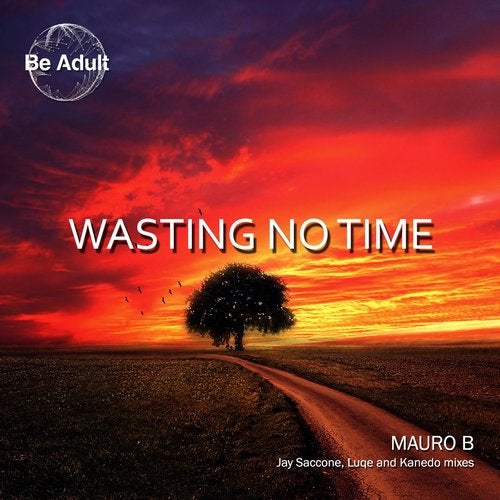 Mauro B - Wasting No Time (Jay Saccone Remix)