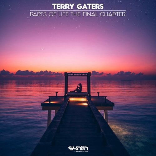 Terry Gaters - Little Too Much (Original Mix)