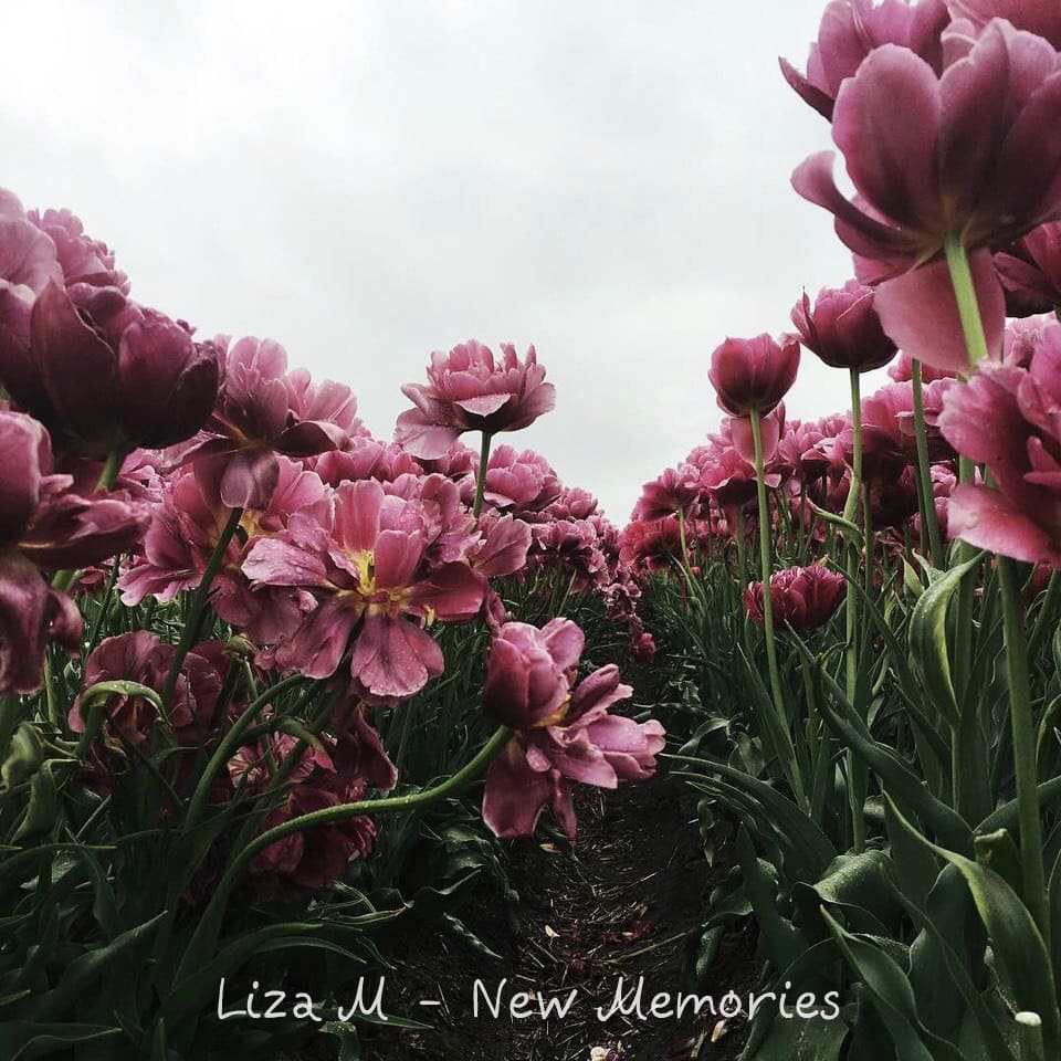 Liza M - New Memories