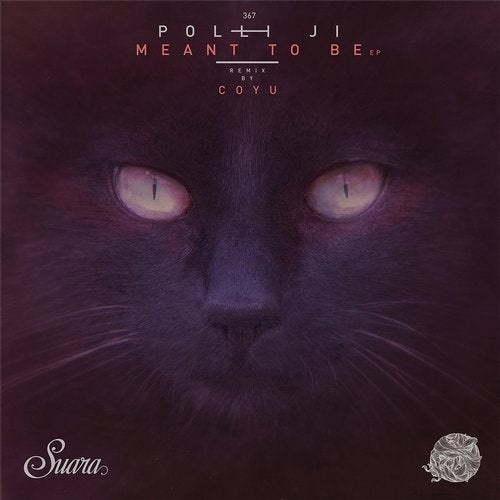 Polli Ji - Meant To Be (Original Mix)