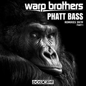 Warp Brothers - Phatt Bass (David Novacek Extended Remix)