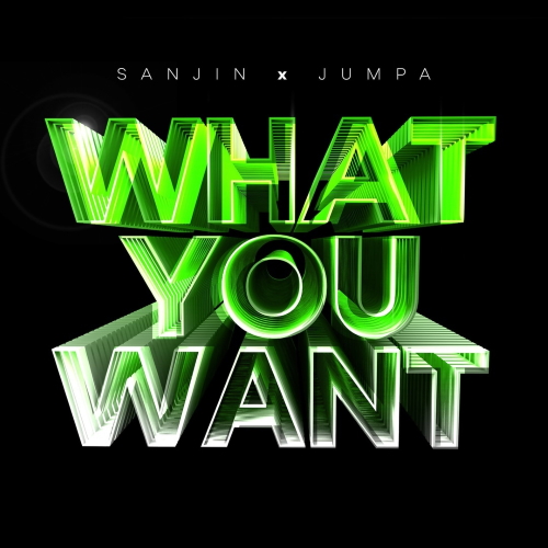 Sanjin & Jumpa - What You Want (Original Mix)