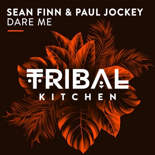 Sean Finn & Paul Jockey - Dare Me (Original Mix)