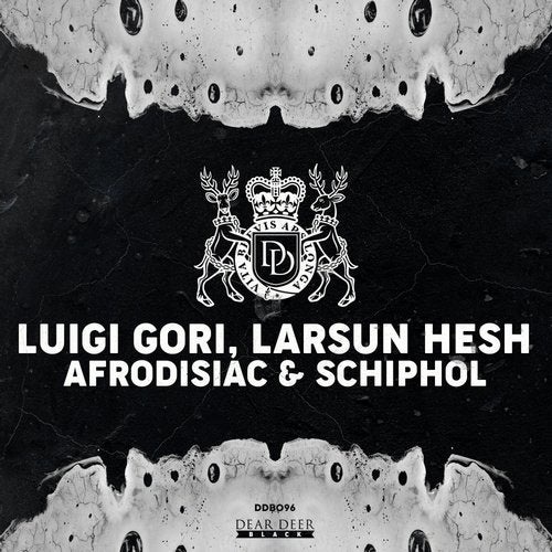 Luigi Gori, Larsun Hesh - Schiphol (Original Mix)