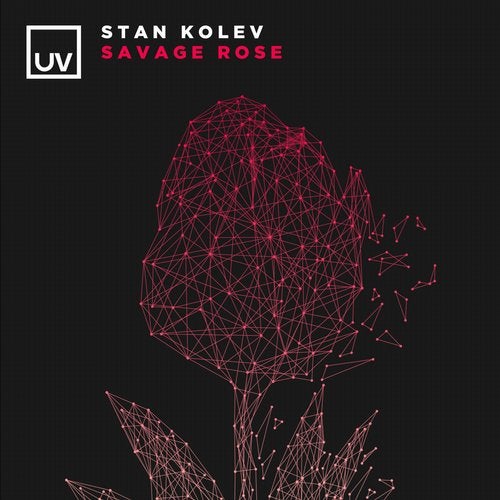 Stan Kolev - Savage Rose (Extended Mix)