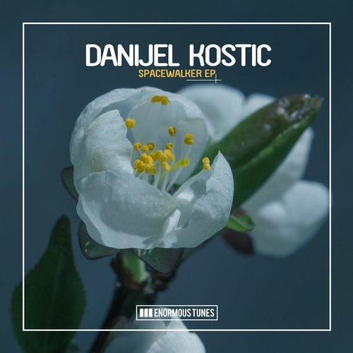 Danijel Kostic - Spacewalker (Original Club Mix)