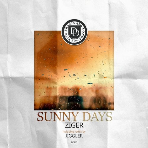 Ziger - Sunny Days (Original Mix)