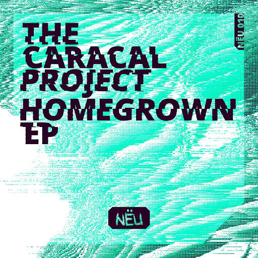 The Caracal Project - Bogy (Original Mix)
