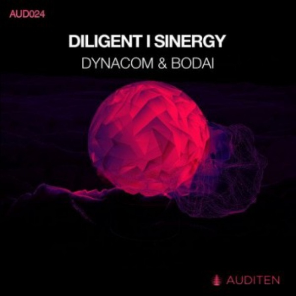 Dynacom (ARG) & Bodai - Diligent (Original Mix)