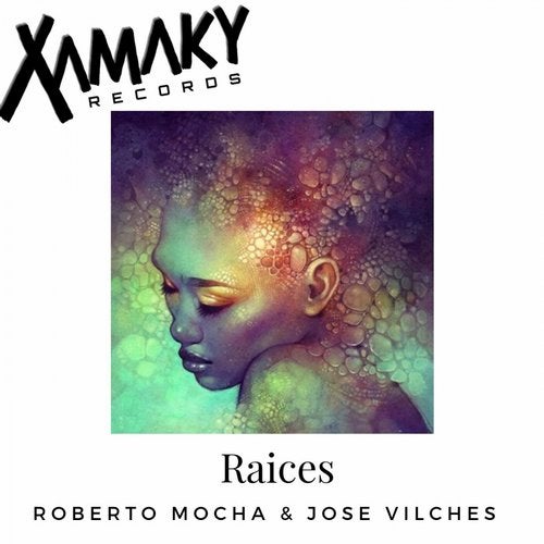 Roberto Mocha, Jose Vilches - Raices (Original Mix)