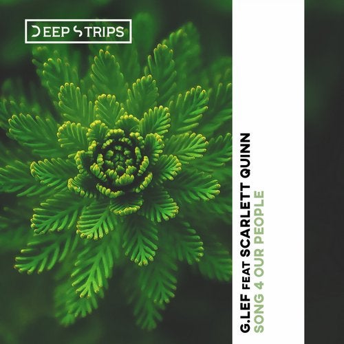 Scarlett Quinn, G.LEF - Song 4 Our People (Original Mix)