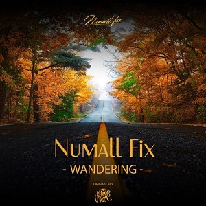 Numall Fix - Wandering (Original Mix)