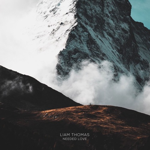 Liam Thomas - Needed Love (Original Mix)