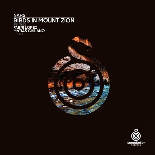 Nahs - Birds In Mount Zion (Fabri Lopez Remix)