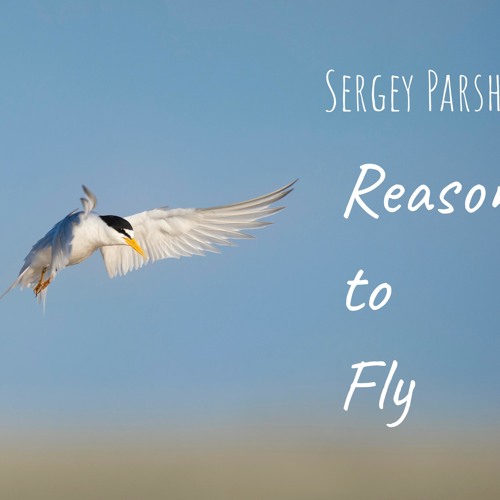 Sergey Parshutkin - Reason to Fly (Original mix)