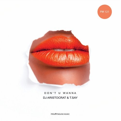 DJ Aristocrat, T.Say - Don't U Wanna (Moe Turk Remix)