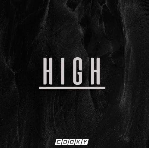 Cooky - High (Original Mix)