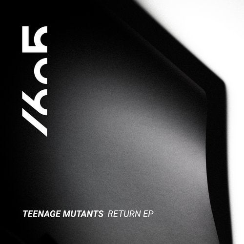 Teenage Mutants - Raven (Original Mix)