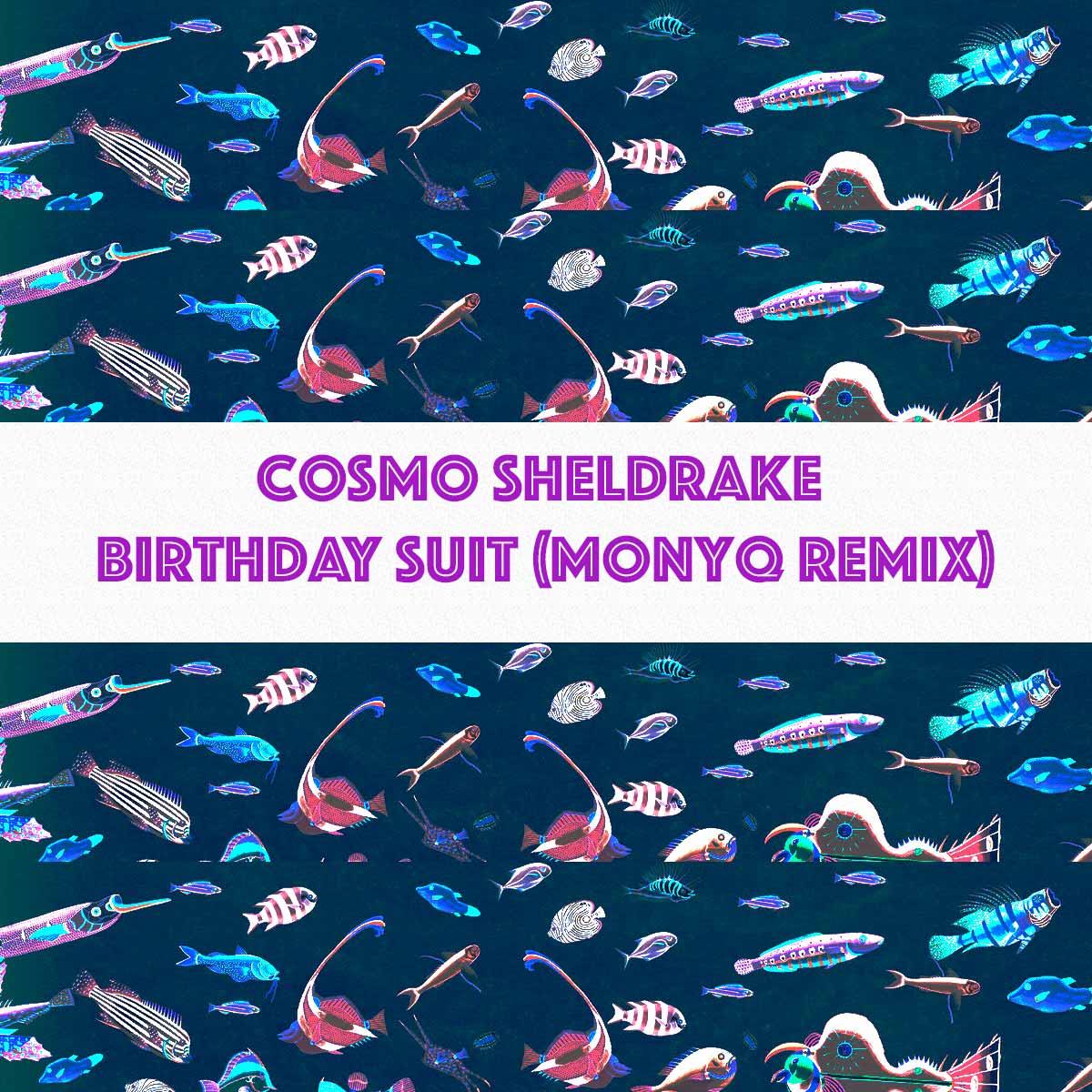 Cosmo Sheldrake - Birthday Suit (MONYQ Remix)