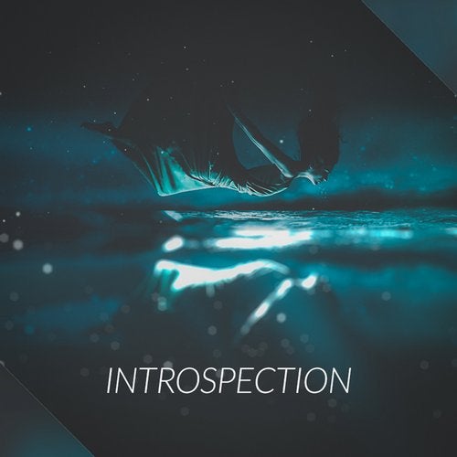 Dezolent, Rapzor - Introspection (Original Mix)