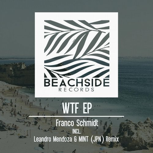 Franco Schmidt - WTF (Mint (JPN) Remix)