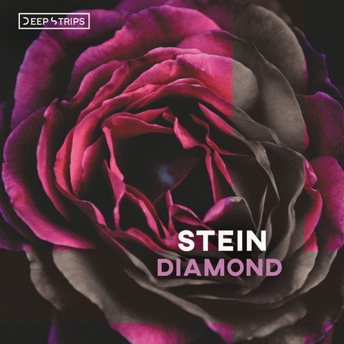 Stein - Diamond (Original Mix)