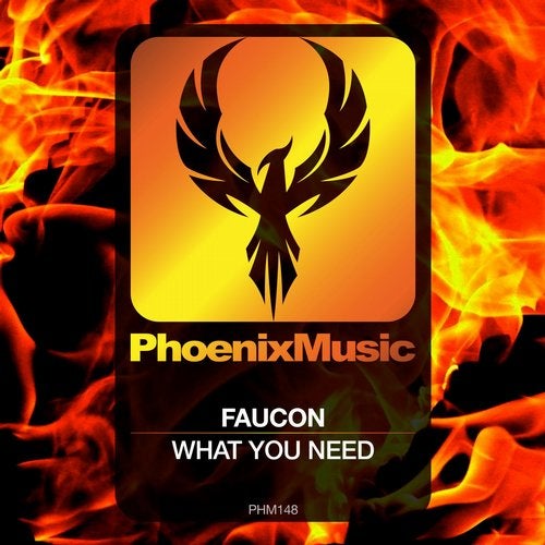 Faucon - What You Need (Original Mix)