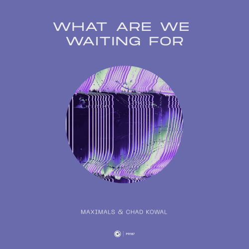 Maximals & Chad Kowal - What Are We Waiting For (Extended Mix)