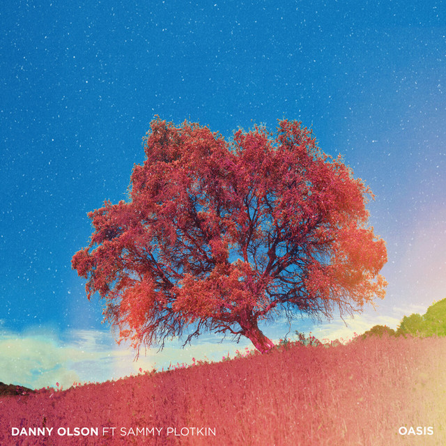 Danny Olson & Sammy Plotkin - Oasis (Original Mix)